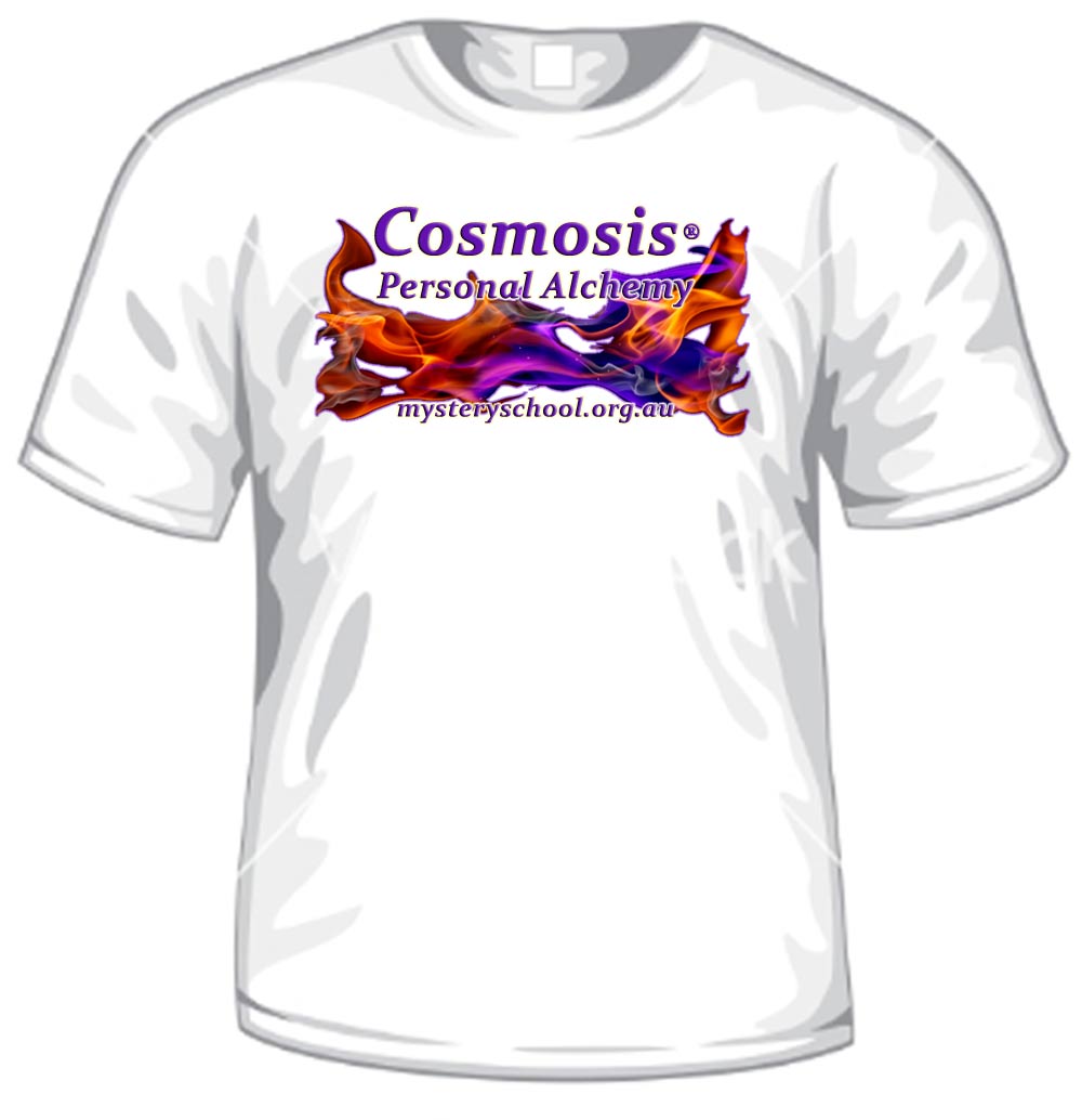 (image for) Cosmosis Tshirt